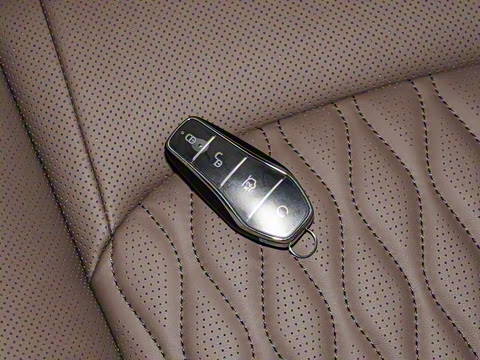 2025�� DM-i �Ǽݰ� 245KM�����