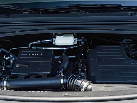 2026�� DM-i 310KM ��Խ��