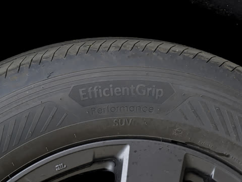 2026�� ˫�� 2.5L ����������