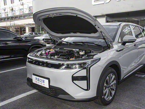 2025�� 100������Plus����