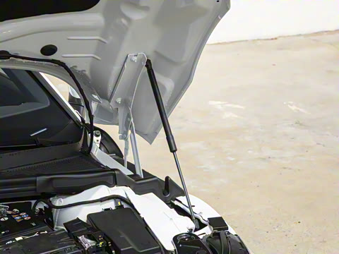 2026�� ���L 300TSI �趯��