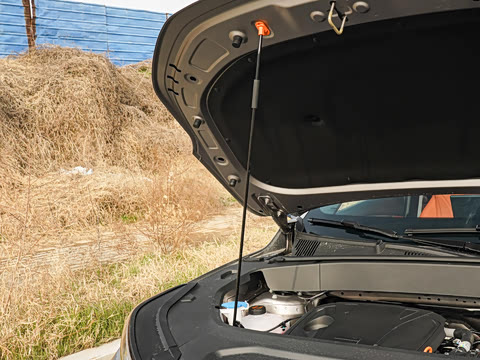 2026�� 225km ����