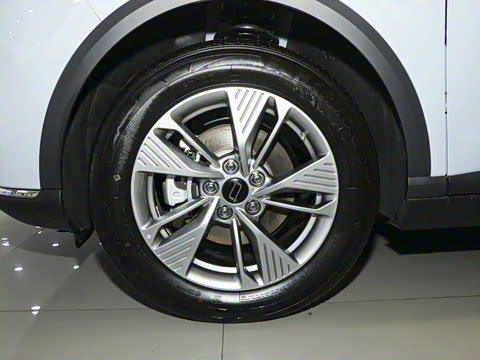 2025�� 565km ������