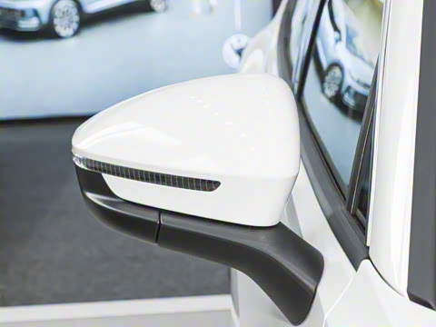 2026�� ̽��L 300TSI ������Ӣ