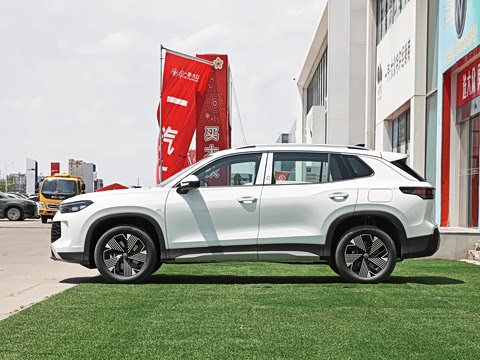 2026�� PRO