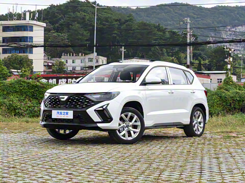 2026�� 280TSI �Զ��ȷ��