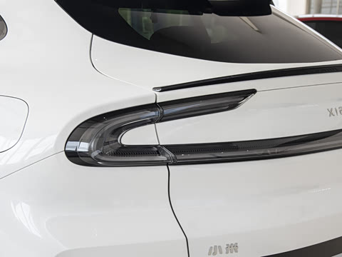 2025�� ������������Pro��