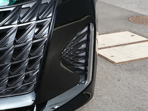 2026�� 2.5L �߶���