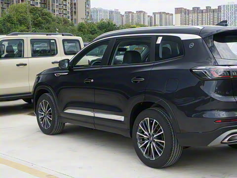 2025�� 290TGDI DCT����� 7��