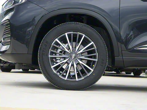 2025�� 290TGDI DCT����� 7��