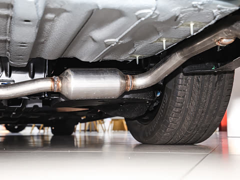 2026�� ����Max�� 7��