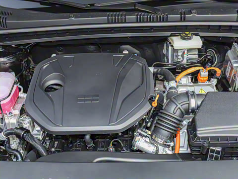 2026�� 60km̽����