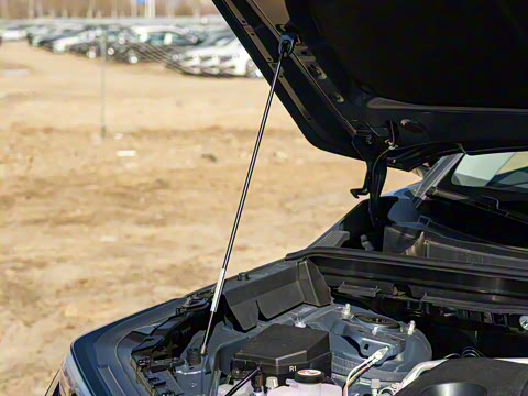 2026�� ˫�� 2.0L ����������