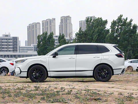 2025�� e:PHEV ������