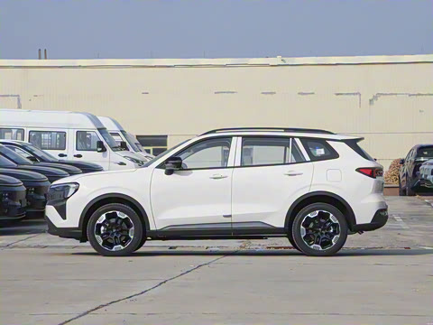 2025�� ������