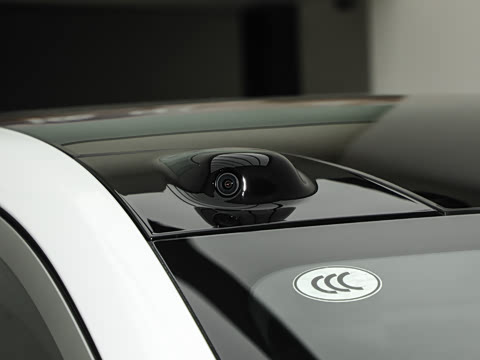 2025�� Max ������