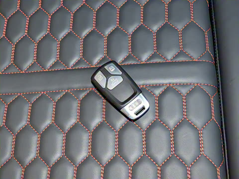 2024�� RS 5 2.9T Sportback ȼ���