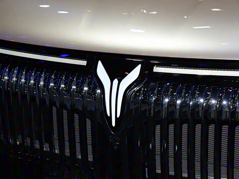 2025�� PHEV �����߶���