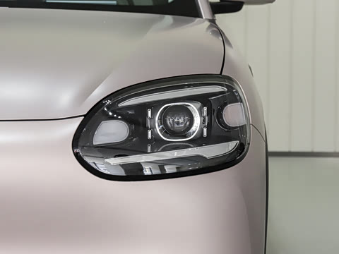 2026�� 310�Ȱ���
