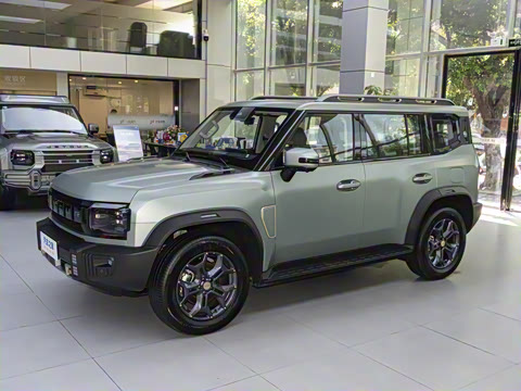 2025�� 2.0TD DCT XWD��Խ