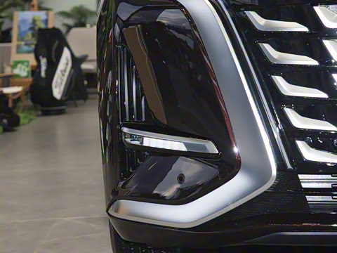 2025�� DM-i ����������