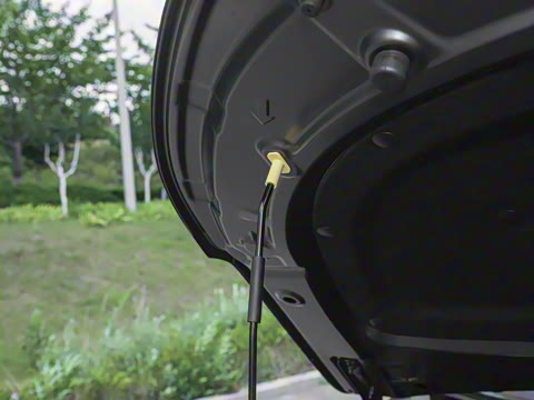 2025�� 185KM�����