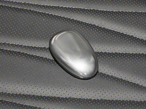 2026�� �����������̰� 310�콢��