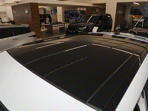 2026�� 250PS Dynamic SE