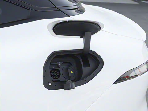 2025�� Elite�����