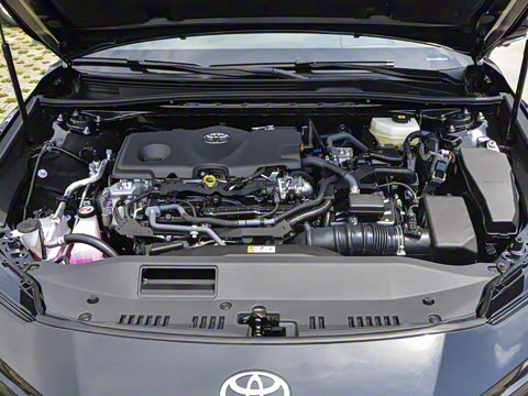 2026�� ˫�� 2.5HXS �˶�Plus��