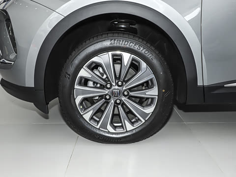 2025�� 25T �׽��