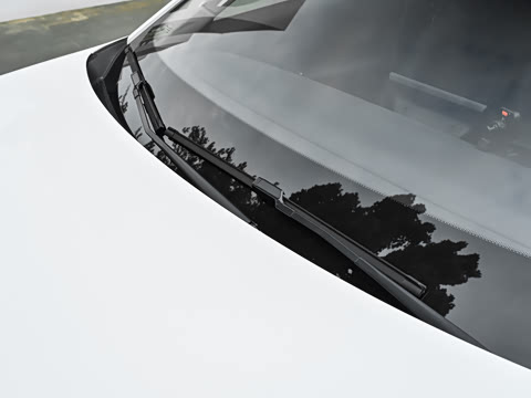 2026�� 501km ���а�