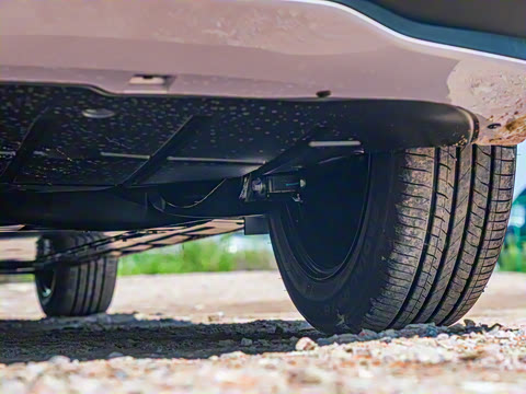 2026�� 437 ���İ�