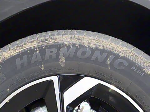 2025�� 518�����͹ھ���