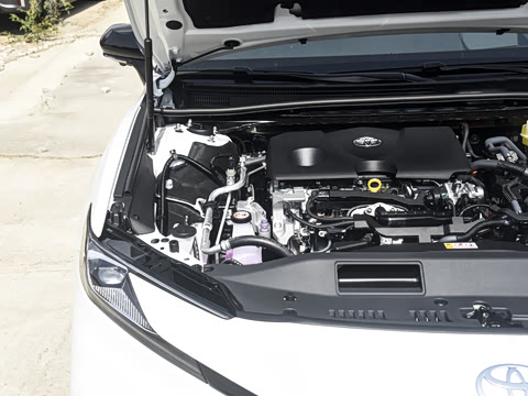 2026�� ˫�� 2.0HXS �˶�Plus��