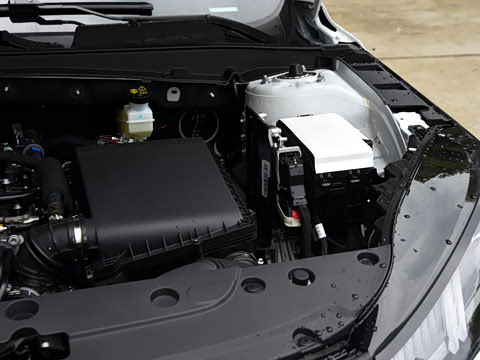 2026�� 1.5L �������� ������