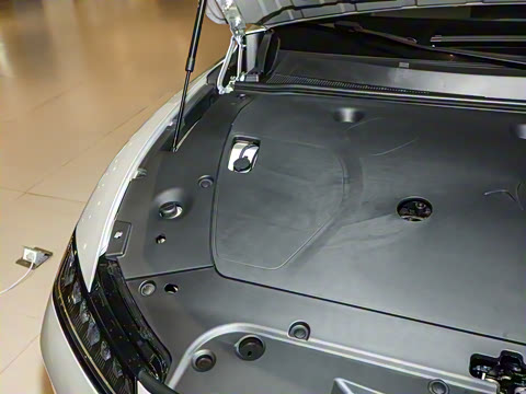 2025�� ���� 230�캽�����