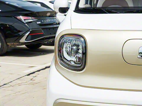 2026�� 222km �Ų���