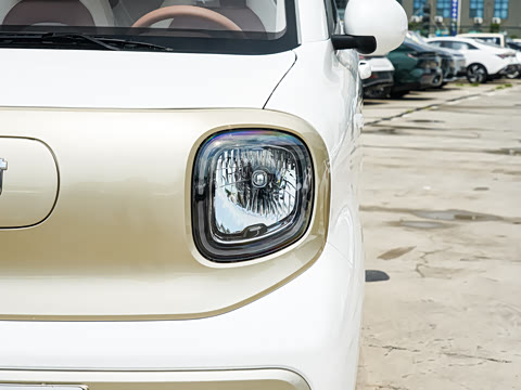 2026�� 222km �Ų���