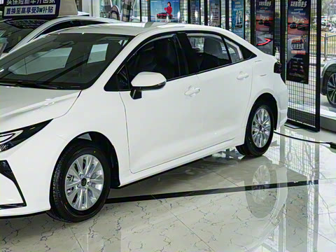 2026�� 1.8L ˫�� �ȷ��