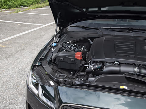 2025�� 2.0T P250 ��������������