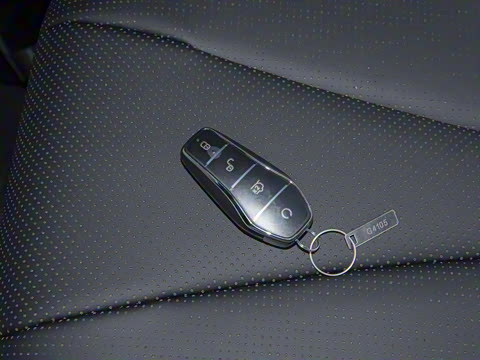 2025�� DM-i 121�캽��