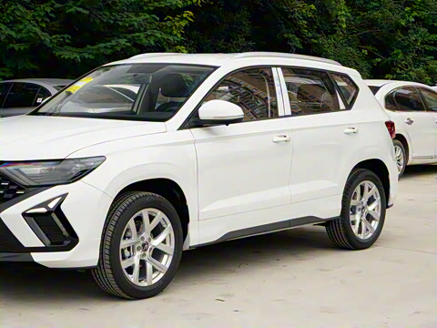 2026�� 280TSI �ֶ�����Plus��