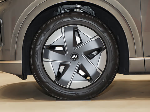 2025�� Pro ������