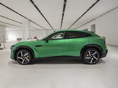 2025�� ������������Pro��