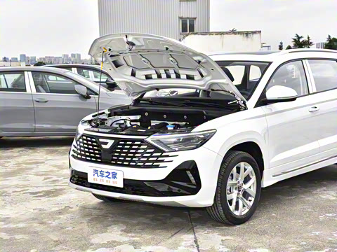 2026�� 280TSI �Զ��ȷ��