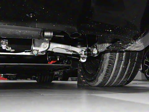 2026�� Max ���̰�