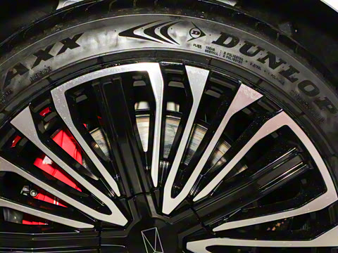 2026�� Max ���̰�