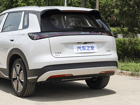2026�� DM-i 305�캽��
