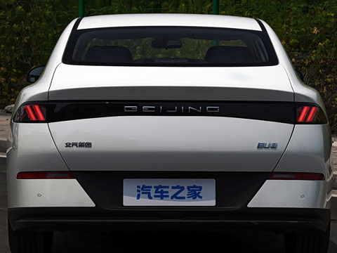 2026�� 501km ���а�